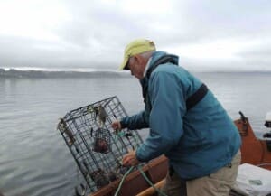 crabbing crabbing