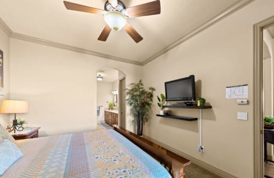 031f310c03cd4f85a04fdebbd1364ef0 LargeOriginal.jpg